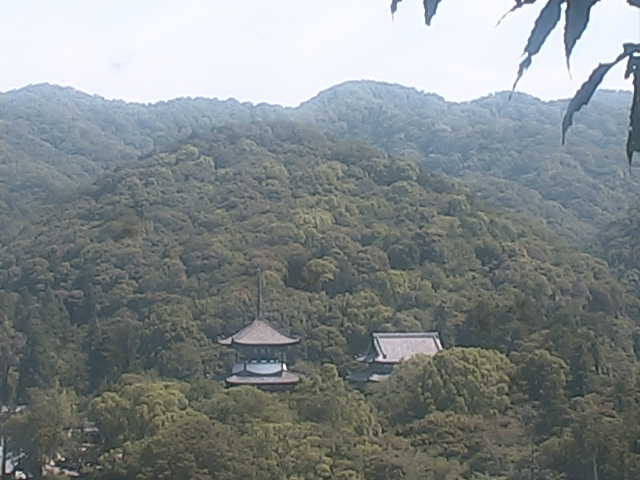 Position 1