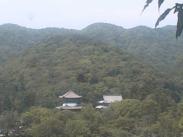 Position 2