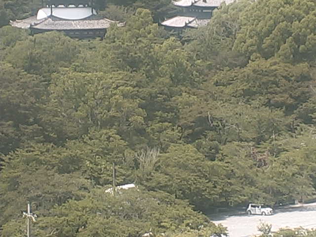 Gi